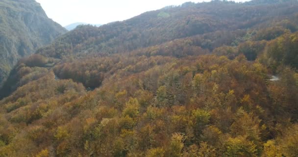 Vlucht over herfst bomen — Stockvideo