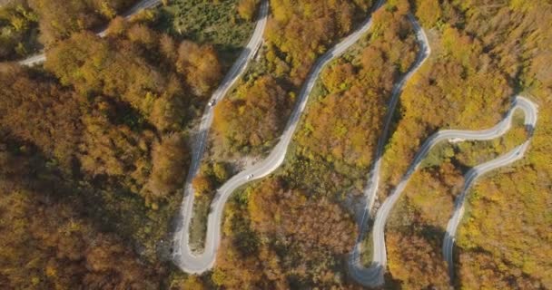 Φθινοπωρινή θέα δρόμος βουνού από πάνω — Αρχείο Βίντεο