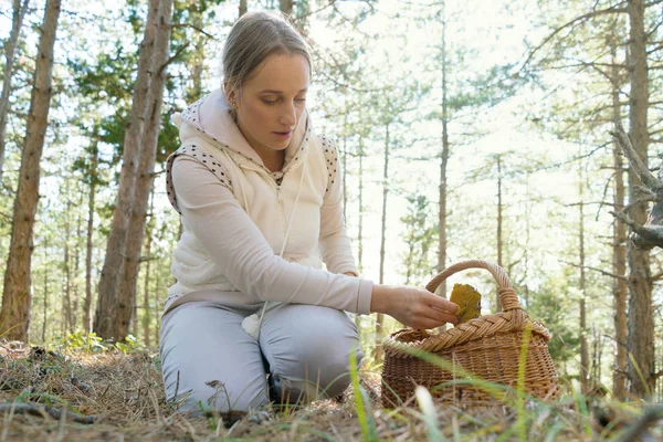 Funghi, donna che raccoglie funghi nel bosco — Foto Stock