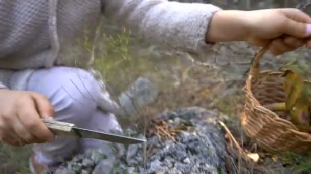 Urocza dziewczynka zbieranie grzybów w lesie — Wideo stockowe