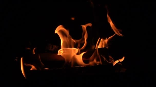 Chaleureux feu brûlant dans la cheminée . — Video