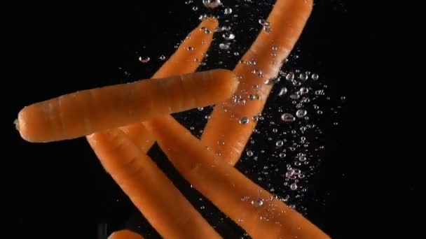 Whole carrot falls in water on black background — Stock Video