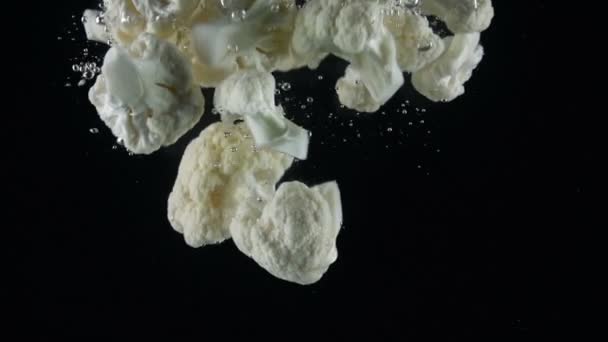 Cauliflower falling into water on black background. — Stock Video