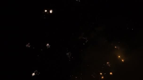 Tűzijáték, éjszaka — Stock videók