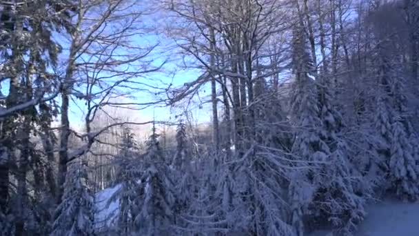 Floresta de neve e esquiadores em um elevador de esqui pov — Vídeo de Stock