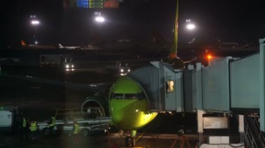 Moscow, Rusya Federasyonu - 29 Ocak 2017: Domodedovo Havaalanı Uçuş S7 havayolu şirketi mürettebatı hazırlar