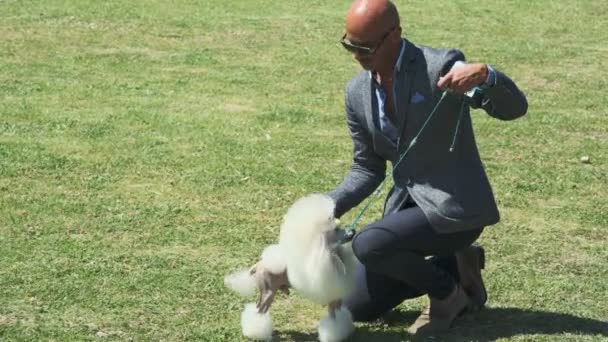 Bar, Montenegro - 22 April 2017: Dog show, de Adriatische Zee-Cup — Stockvideo