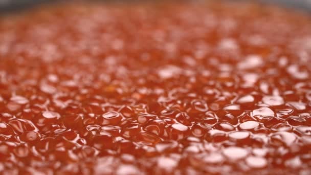 Caviar rojo, fondo girado . — Vídeo de stock