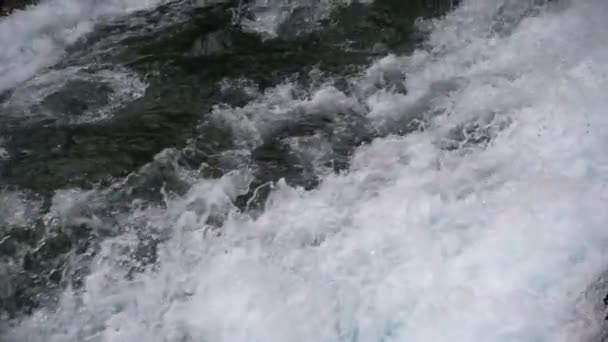 Um fluxo em movimento rápido do rio da montanha — Vídeo de Stock