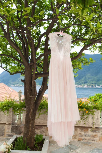 Abito da sposa rosa su appendini su un albero all'aperto — Foto Stock