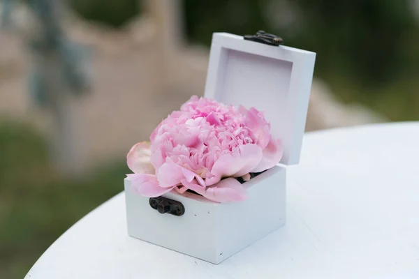 Ataúd para anillos de boda con flor fresca para la ceremonia — Foto de Stock