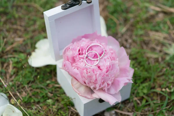 Ataúd para anillos de boda con flor fresca para la ceremonia — Foto de Stock