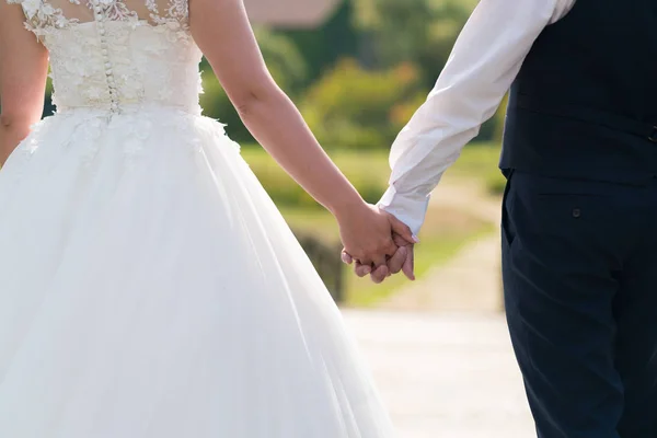 Newlyweds hold hands — Stock Photo, Image