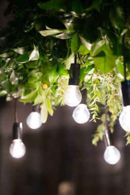 ağaç üzerinde asılı gece, elektrik garland, Işık Ampüller