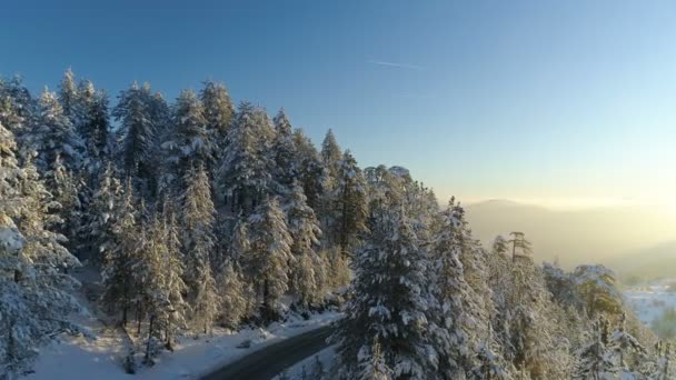 Flug über die Straße durch den verschneiten Wald bei Sonnenaufgang — Stockvideo