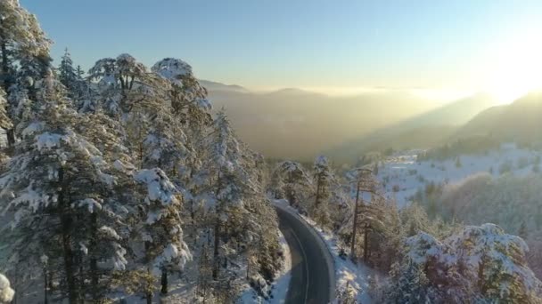 Політ над дорогою через засніжений ліс на сході сонця — стокове відео