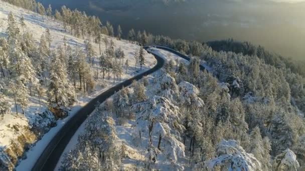 Flug über die Straße durch den verschneiten Wald bei Sonnenaufgang — Stockvideo