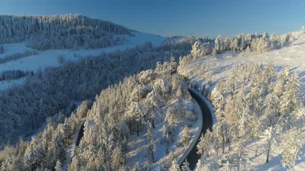 Vuelo sobre el camino a través del bosque nevado al amanecer — Vídeos de Stock