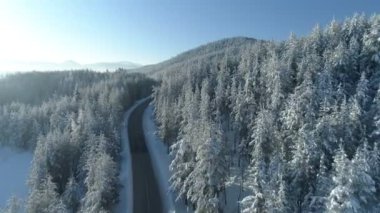 Yolun karlı ormanı üzerinde güneş doğarken uçuş