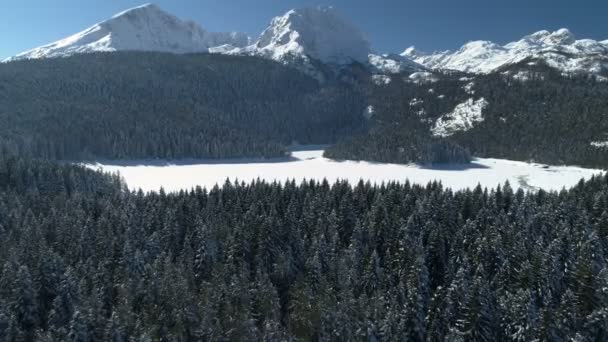 Vista aérea de invierno del lago negro cubierto de nieve en el parque nacional de las montañas Durmitor — Vídeo de stock