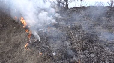 yol kenarındaki çalılıklar yanıyor