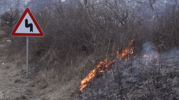 Arbustos Carretera Están Ardiendo Cámara Lenta — Vídeos de Stock
