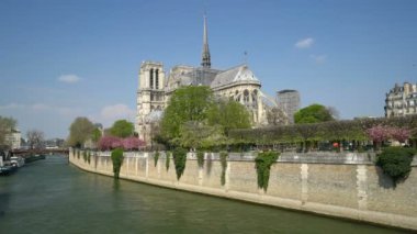 Notre Dame Katedrali çiçekli ağaçlarla çevrili