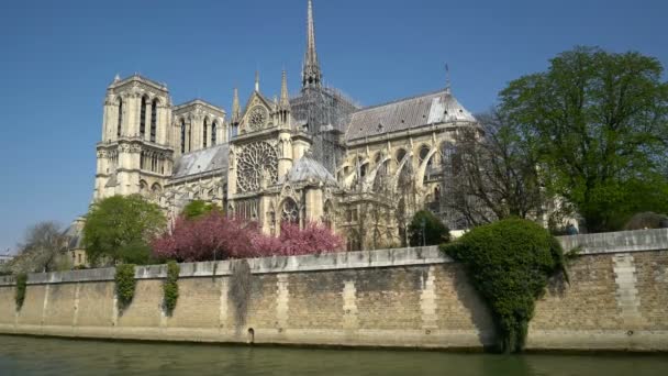 巴黎圣母院大教堂被开花的树木包围 — 图库视频影像