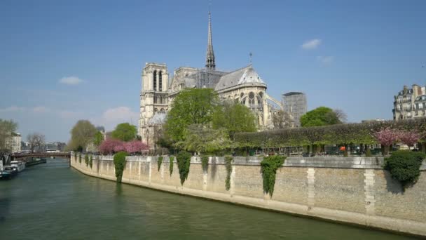 Catedral de Notre Dame rodeada de árboles con flores — Vídeos de Stock