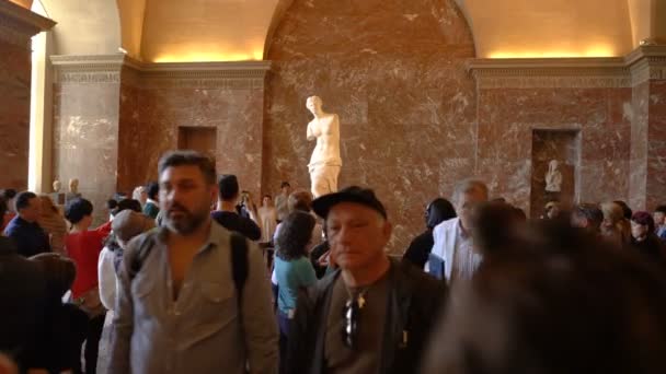 Paris, França - 31 de março de 2019: Turistas visitam a estátua de Vênus de Milo no Museu do Louvre . — Vídeo de Stock