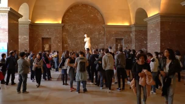 Paris, France - March 31, 2019: Tourists visit The Venus de Milo statue at the Louvre Museum. — Stock Video