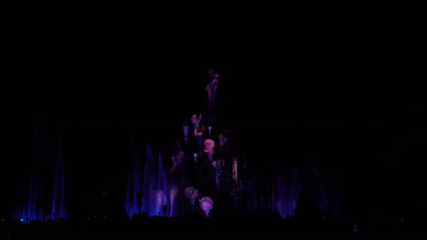 Paris, France - 2 avril 2019 : personnes au spectacle du soir Disneyland Illuminations — Video
