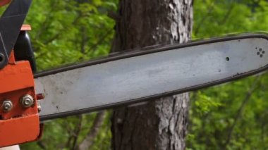 Ağır çekimde chainsaw ile ahşap ile kesme