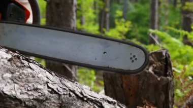 Ağır çekimde chainsaw ile ahşap ile kesme