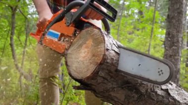 Ağır çekimde chainsaw ile ahşap ile kesme