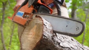 Ağır çekimde chainsaw ile ahşap ile kesme