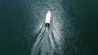 motorlu tekne nilüferler tarafından çerçeveli bir Crnojevica nehir üzerinde yüzer