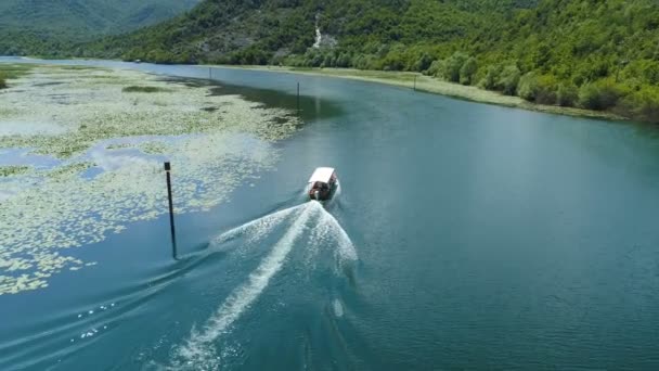 Моторная лодка плавает на реке Црноевица, обрамлённой водными лилиями — стоковое видео