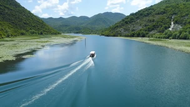 수련으로 둘러싸인 크노예비카 강에 떠 있는 모터 보트 — 비디오