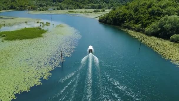 Łódź motorowa unosi się na rzece Crnojevica otoczona Lilie wodne — Wideo stockowe