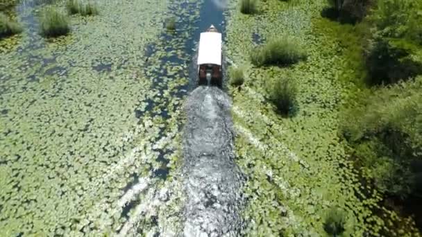 Моторная лодка плавает на реке Црноевица, обрамлённой водными лилиями — стоковое видео