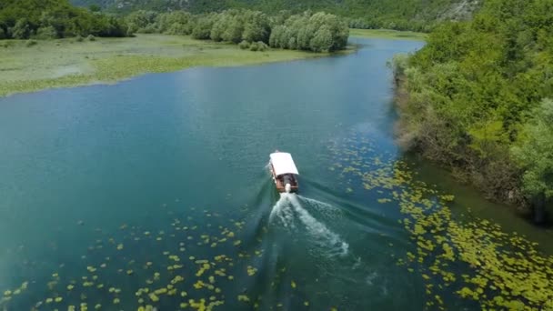 Barco a motor flutua em um rio Crnojevica emoldurado por lírios de água — Vídeo de Stock