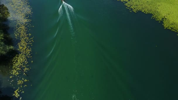 Motoros csónak lebeg egy Crnojevica folyón keretezett víz liliomok — Stock videók