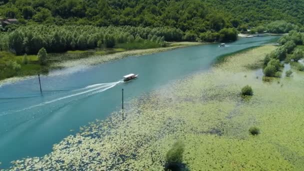 Моторная лодка плавает на реке Црноевица, обрамлённой водными лилиями — стоковое видео