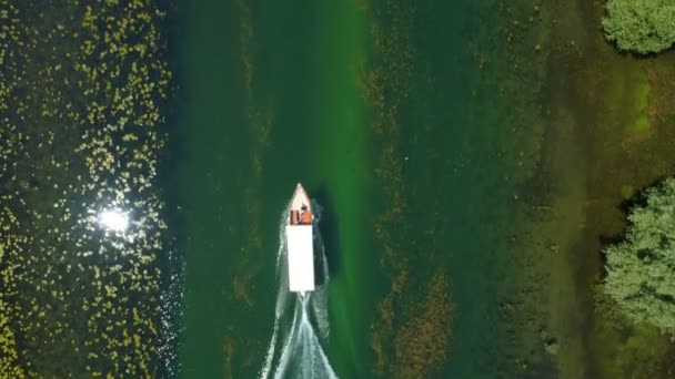 Motoros csónak lebeg egy Crnojevica folyón keretezett víz liliomok — Stock videók