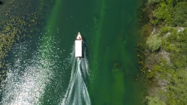 Μηχανοκίνητο σκάφος επιπλέει σε έναν ποταμό Τσρνογιέβιτσα πλαισιωμένο από κρίνα νερού — Αρχείο Βίντεο