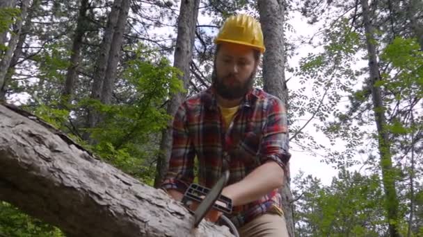 Skär genom trä med motorsåg i slow motion — Stockvideo