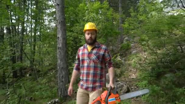 A chainsaw worker goes through the woods — Stock Video