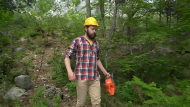 Ein Kettensägenarbeiter geht durch den Wald — Stockvideo