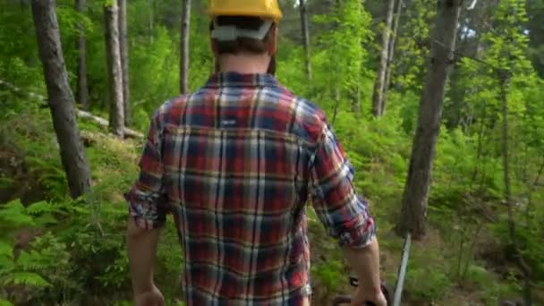 A chainsaw worker goes through the woods — Stock Video